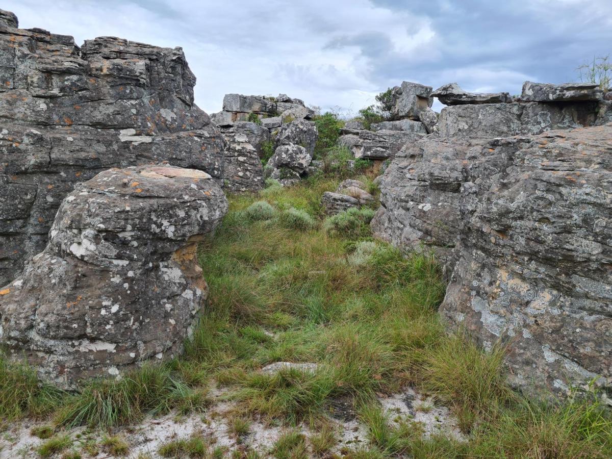 Coddiwomple Cottage Kaapsehoop Exterior foto